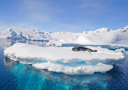 Croisière Antarctique un sublime voyage au pôle sud