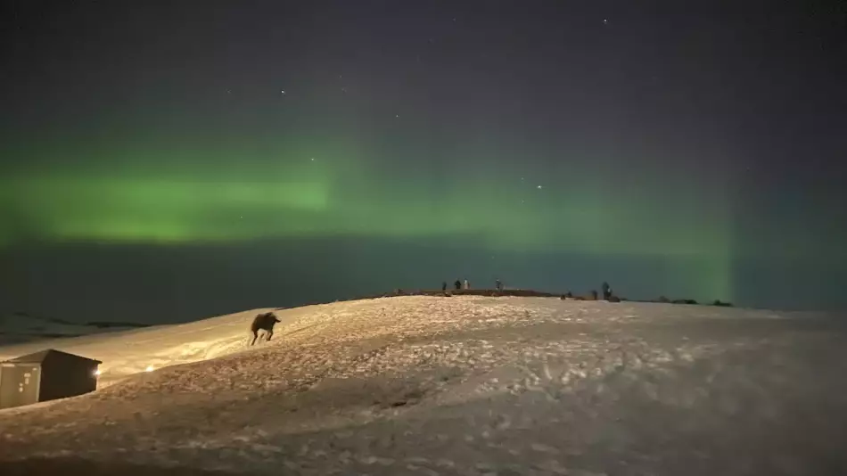 Les aurores bor&eacute;ales : un spectacle qui fascine Islandais et touristes