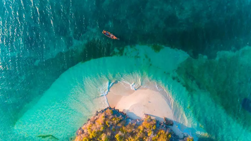 Extension &agrave; Zanzibar