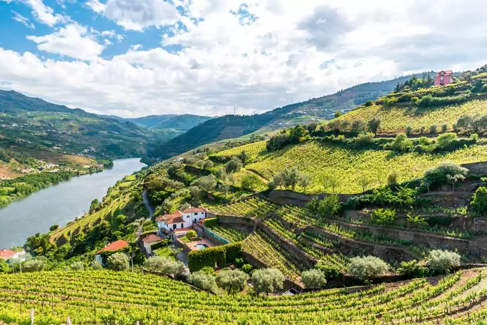 La Vall&eacute;e du Douro : sublime &eacute;crin pour les croisi&egrave;res &oelig;nologiques