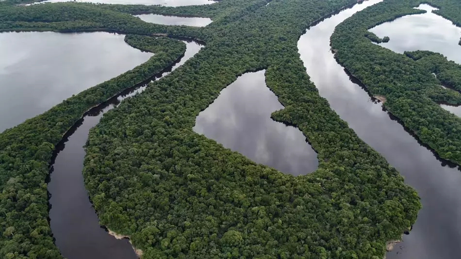 Rio Negro, Anavilhanas