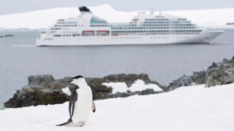 Seabourn Quest en navigation