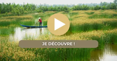 Video Croisière au Laos sur le Mékong : joyaux d'Asie