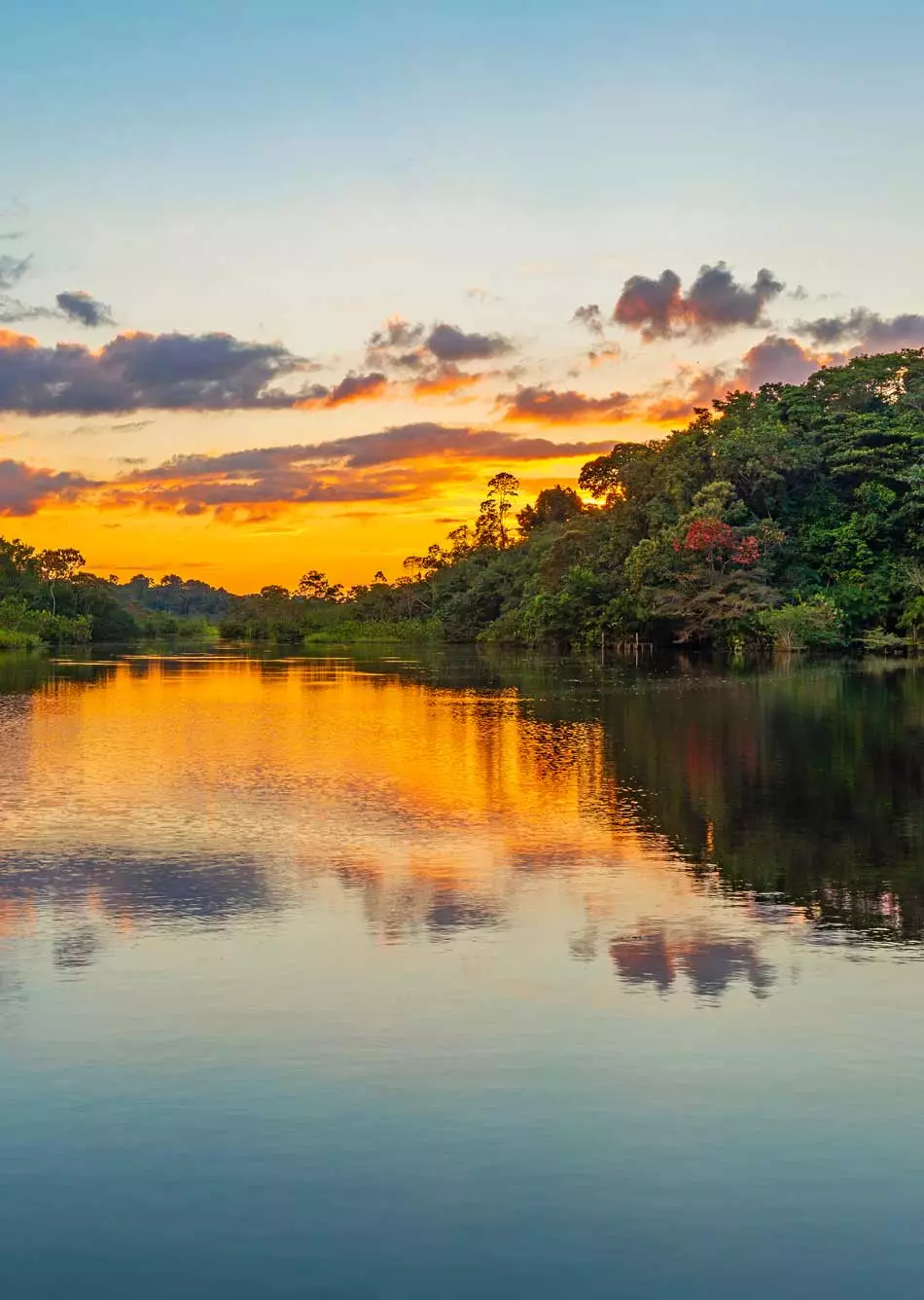Le fleuve Amazone au coucher du soleil