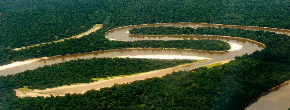 Les méandres de l'Amazone grandeur nature