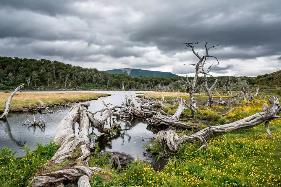 Paysage de la Tierra del Fuego