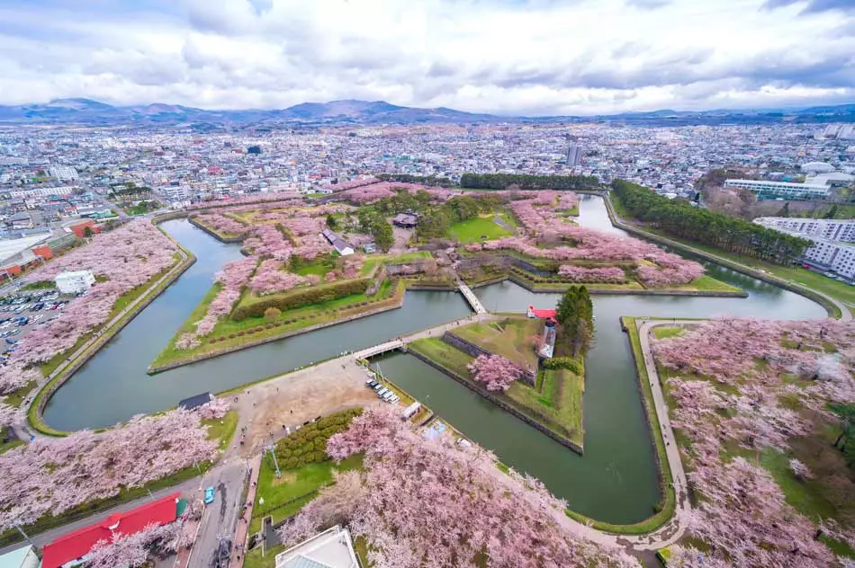 Château d'Hakodate et ses sakuras