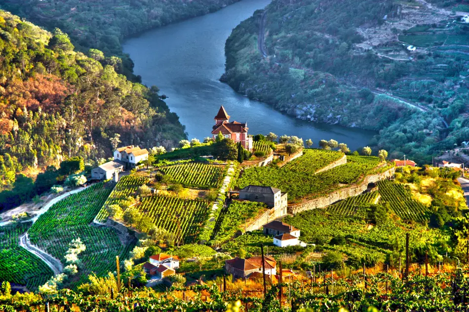 Image d'illustration, vallée du Douro