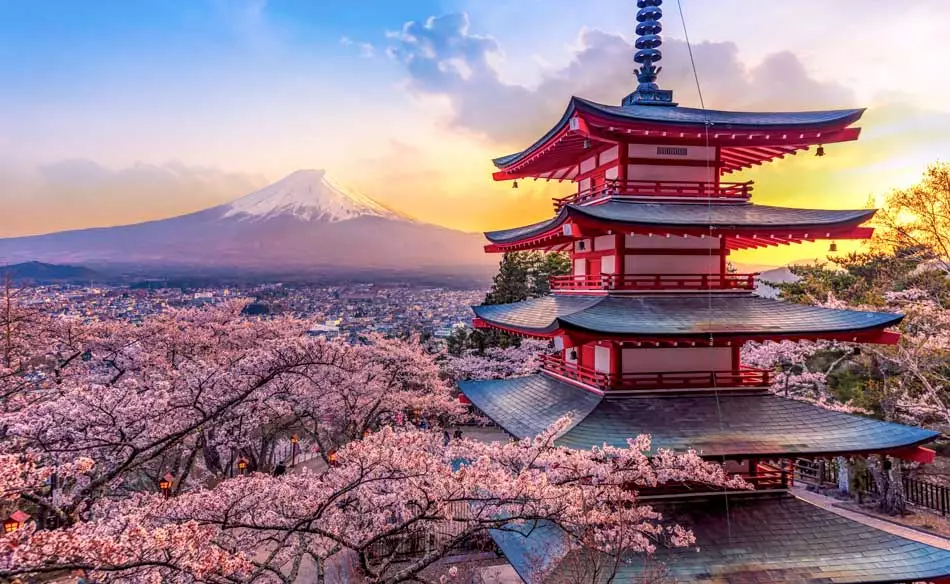 Les sakuras et le Mont Fuji