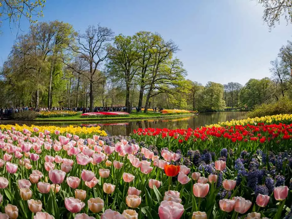 Le jardin de Keukenhof en Hollande