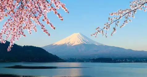 Croisière Japon