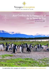 Croisière en Patagonie en 2025