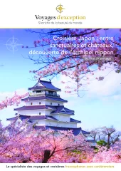 Croisière dans l'archipel japonais : entre sanctuaires et châteaux, découverte du Japon