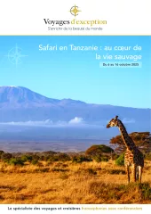 Safari en Tanzanie : au cœur de la vie sauvage