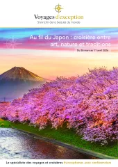 Au fil du Japon : croisière entre art, nature et traditions