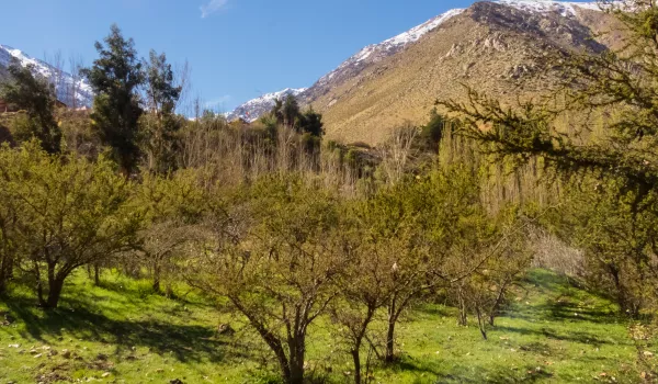 Jour 10 : Coquimbo - Dégustation du vin chilien à Cavas del Valle HORS FORFAIT