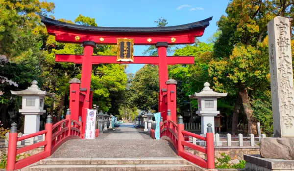 Jour 11 : Tsuruga I Paysages de Tsuruga