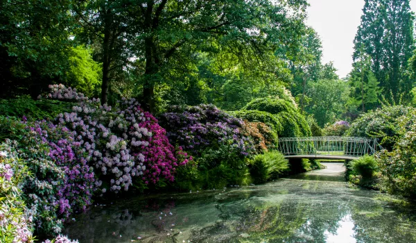 Jour 6 : Rotterdam I Visite de la ville et du Trompenburg Gardens Arboretum