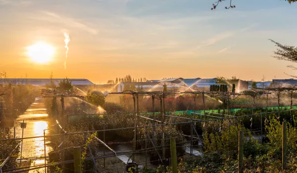 Jour 6  : Dordrecht I Boskoop, le royaume des horticulteurs