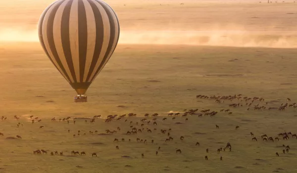 Survol en montgolfière du Serengeti