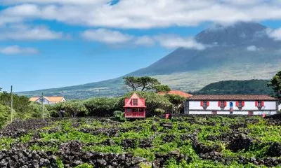 São Roque do Pico (Île de Pico)