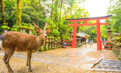 Kyoto