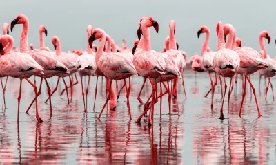 Walvis Bay / Swakopmund (Namibie)