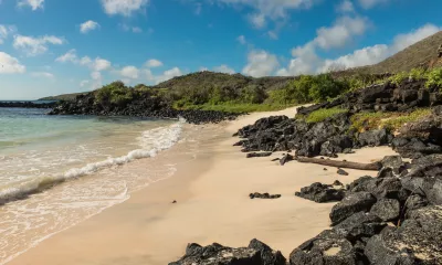 Île Floreana