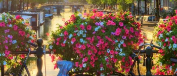 Féerie florale sur le Rhin: le printemps des jardins de la Hollande à la Belgique