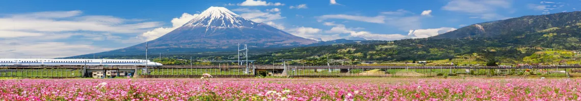 Croisière dans l'archipel japonais : entre sanctuaires et châteaux, découverte du Japon