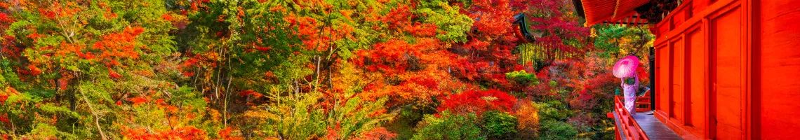 Sur la mer des traditions, une odyssée japonaise