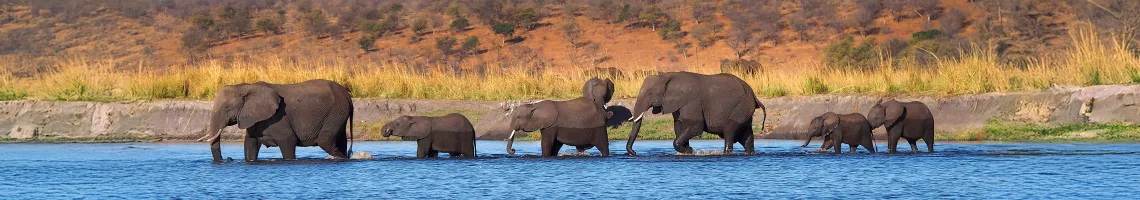 Croisière-Safari en Afrique australe, Lac Kariba - Chutes Victoria