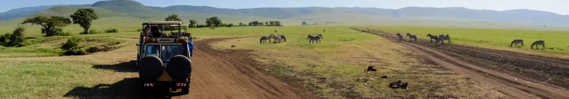 Safari en Tanzanie : au cœur de la vie sauvage