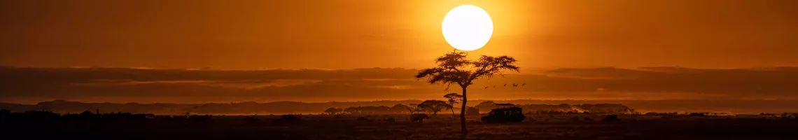 Évasion en train : de l'Afrique du Sud à la Namibie