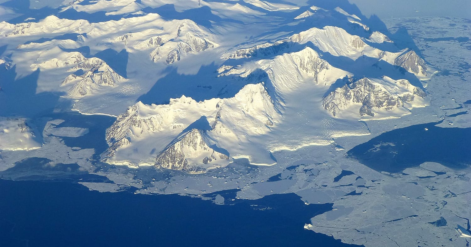 Antarctique : une faune bien plus riche qu’on ne l’imagine